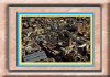 vue-g-tlemcen10.jpg